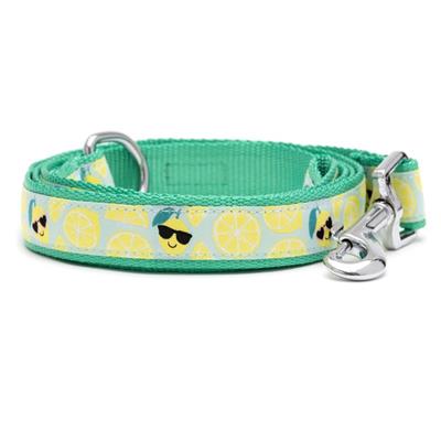 Lemons Collar & Leash Collection