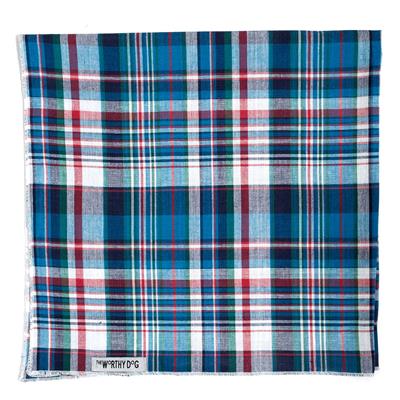 Plaid patterned fabric with blue, red, and white colors on a white background
