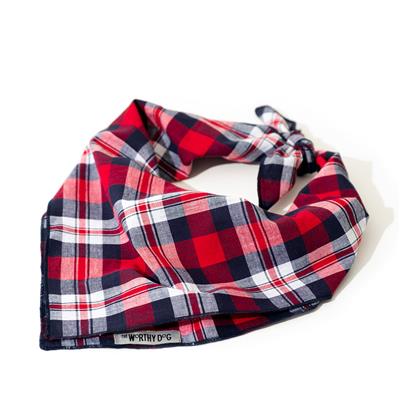 Red and blue plaid bandana on a white background