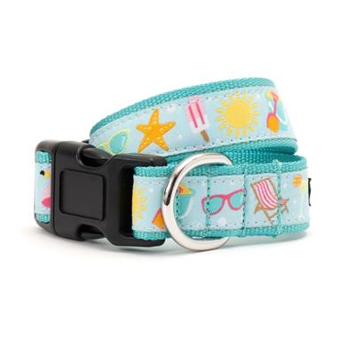 Mint Green Life's a Beach Collar & Leash Collection