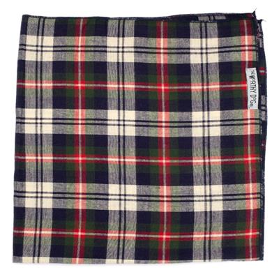 Plaid fabric with red, green, and blue pattern on a white background