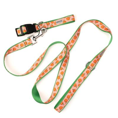 Peachy Keen Collar & Leash Collection