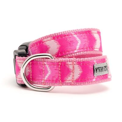 Ombre Collar & Leash Collection