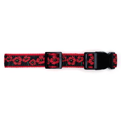 Poppies Collar & Leash Collection