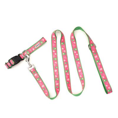 Ribbit Collar & Leash Collection