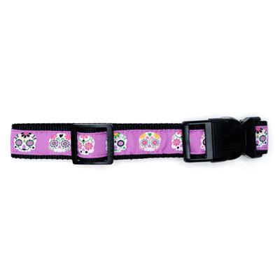 Skeletons Collar & Leash Collection