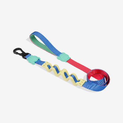 Colorful dog leash with a unique design on a white background
