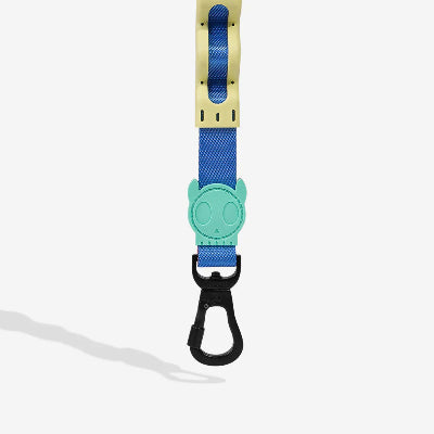 Dog leash with blue and green design on a white background