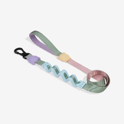 Colorful dog leash with a unique design on a white background