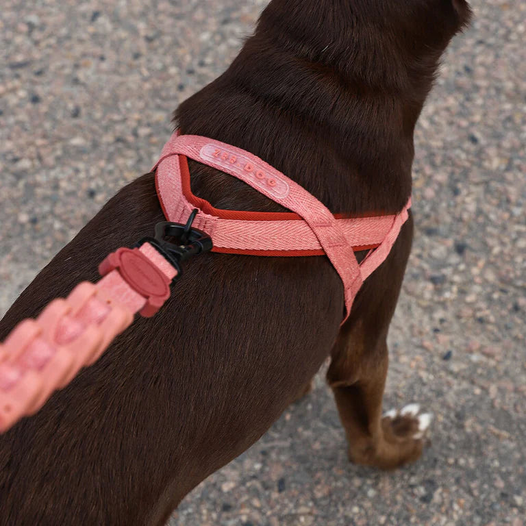 SofterWalk No Pull Harness