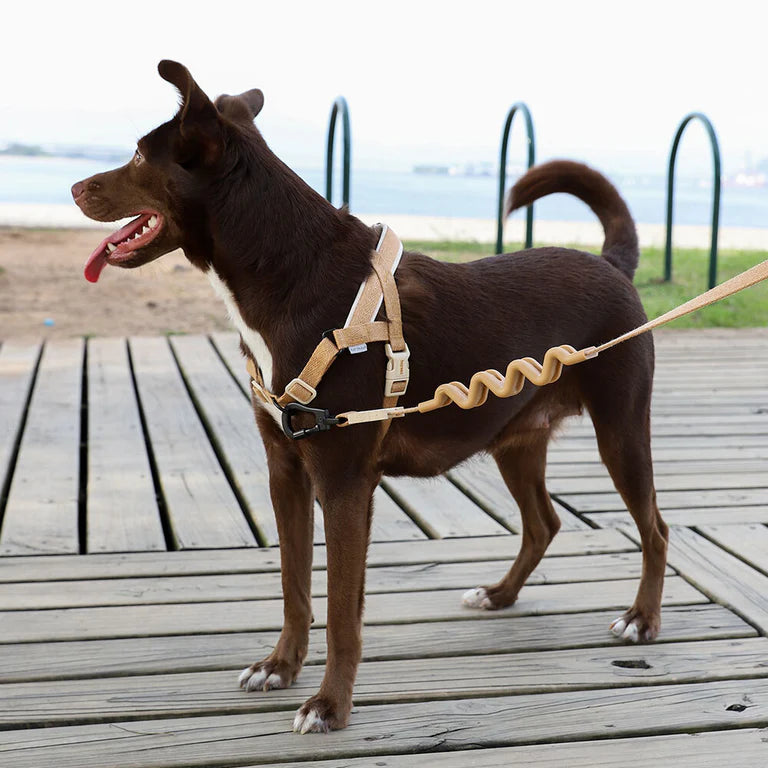 SofterWalk No Pull Harness