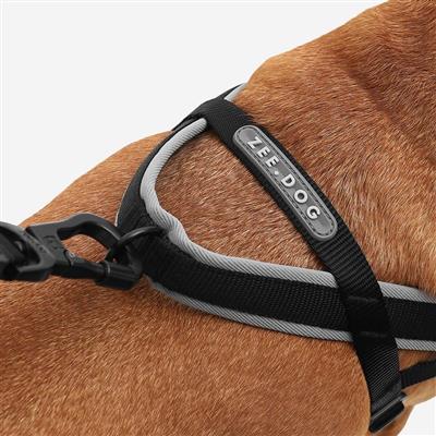 Dog harness with 'Zee.Dog' branding on a brown dog.