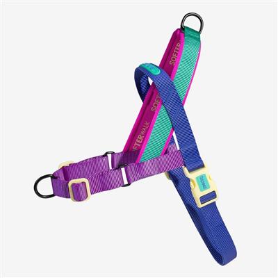 Colorful dog harness with multiple straps on a white background