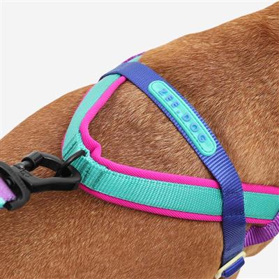 Colorful dog harness on a brown dog with a white background