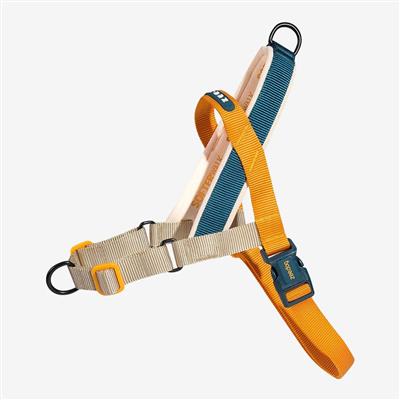 Dog harness with blue and orange straps on a white background