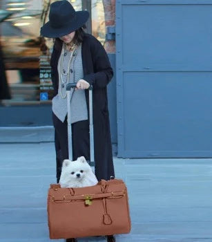 A Pet with Paws Madison Carrier With Pet-Trek®
