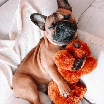 The Original Snuggle Puppy - Brown