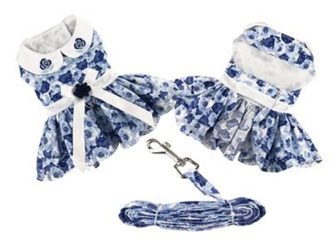 Blue rose dog harness dress front and back views