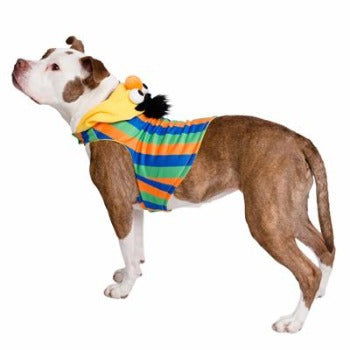 Bert Hoodie.