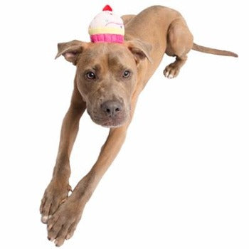 Cupcake Hat.