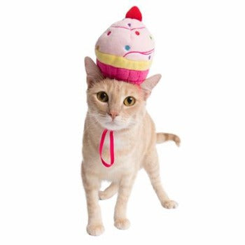 Cupcake Hat.