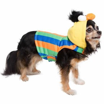 Bert Hoodie.