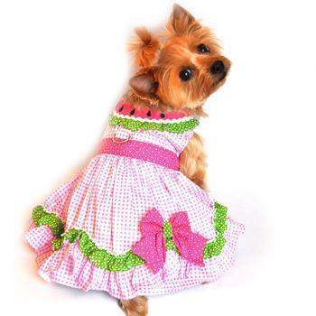 Pink gingham dog dress with collar resembling watermelon slice
