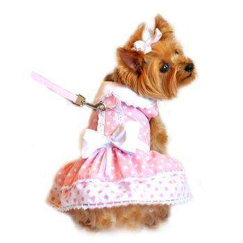 Dog wearing pink polka dot harness dress featuring white bow and matching leash.