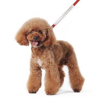 VIP Bling Leash.