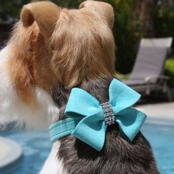 Nouveau Bow Collar (Many Colors).