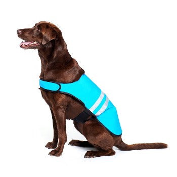 Cooling Vest.