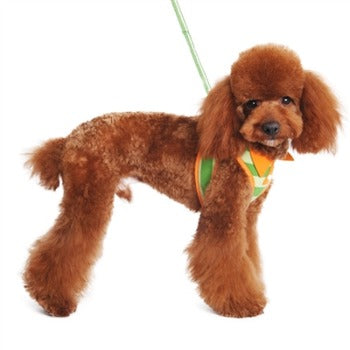 EasyGO Polo Harness.