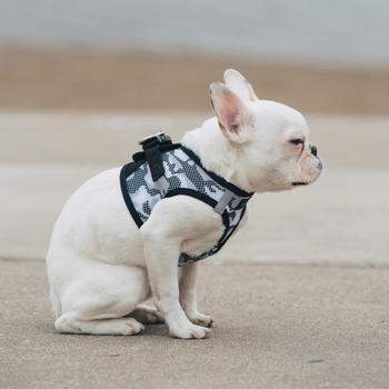 American River Camo Choke-Free Dog Harness - Gray.