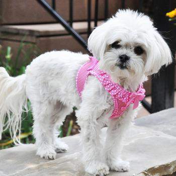 American River Choke-Free Dog Harness - Pink Polka Dot.