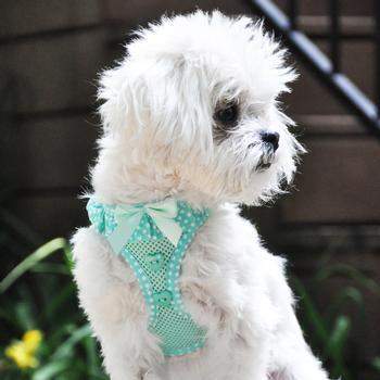 American River Choke-Free Dog Harness - Teal Polka Dot.