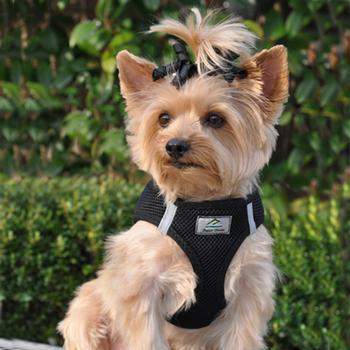 American River Ultra Choke Free Dog Harness - Black.