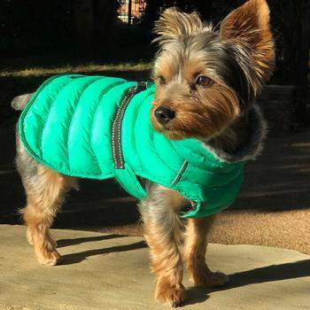 Alpine Extreme Weather Puffer Dog Coat - Arcadia.