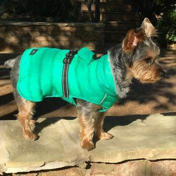 Alpine Extreme Weather Puffer Dog Coat - Arcadia.
