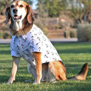 Hawaiian Camp Dog Shirt - Anchors Aweigh.