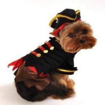 Buccaneer Pirate Costume.