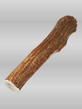 Elk Antler-XLarge.