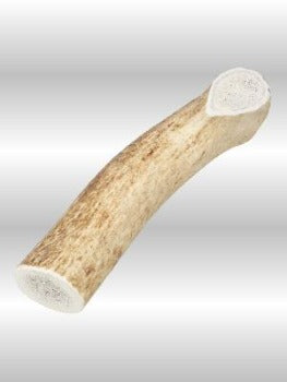 Elk Antler-Large.