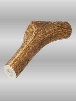 Elk Antler-Medium.