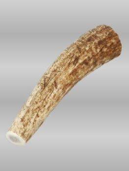 Elk Antler-Petite.