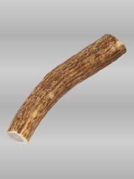 Elk Antler-Small.