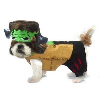 Barkenstein Costume.