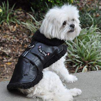 Top Dog Flight Harness Coat - Black.