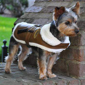 Brown & Black Faux Leather Bomber Coat.