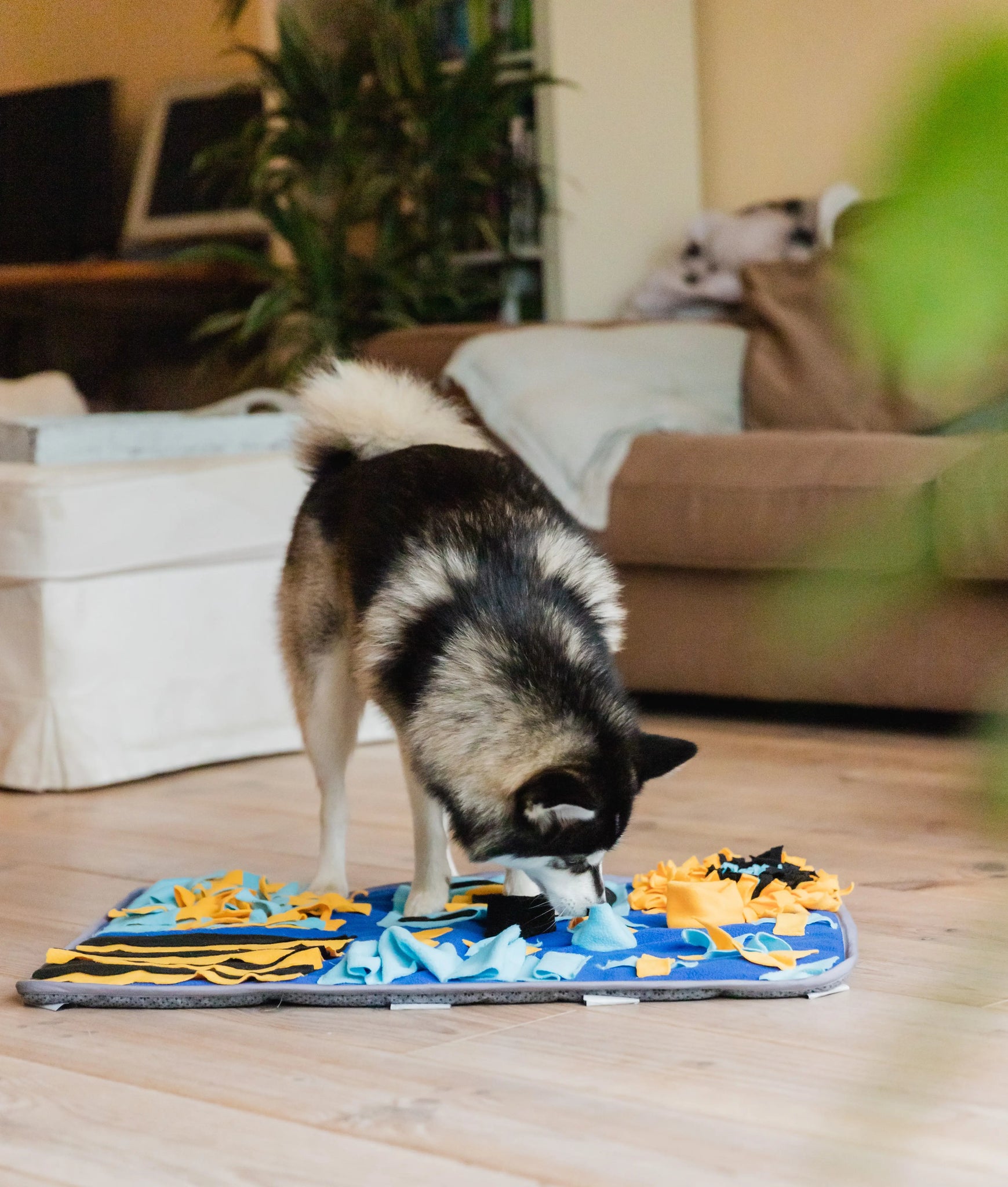 Snuffies Bowie Snuffle Mat-Paws & Purrs Barkery & Boutique