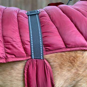 Alpine Extreme Weather Puffer Dog Coat - Burgundy.